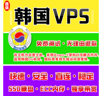 韩国VPS推荐8912M购买，google scholar首页